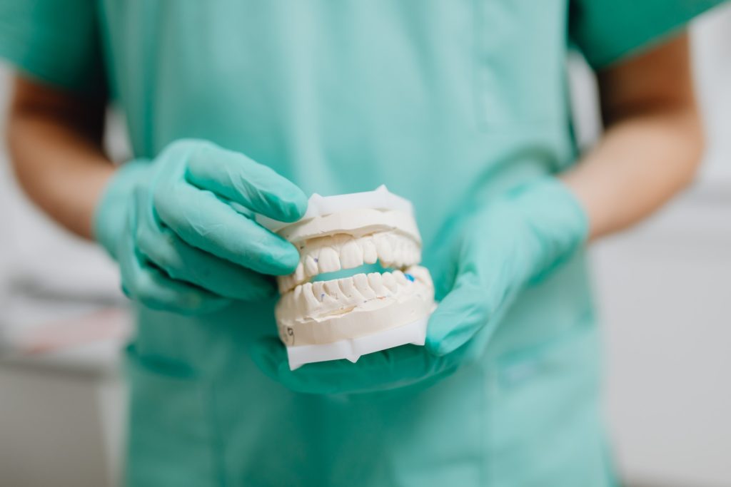 Close up photo of dental cast