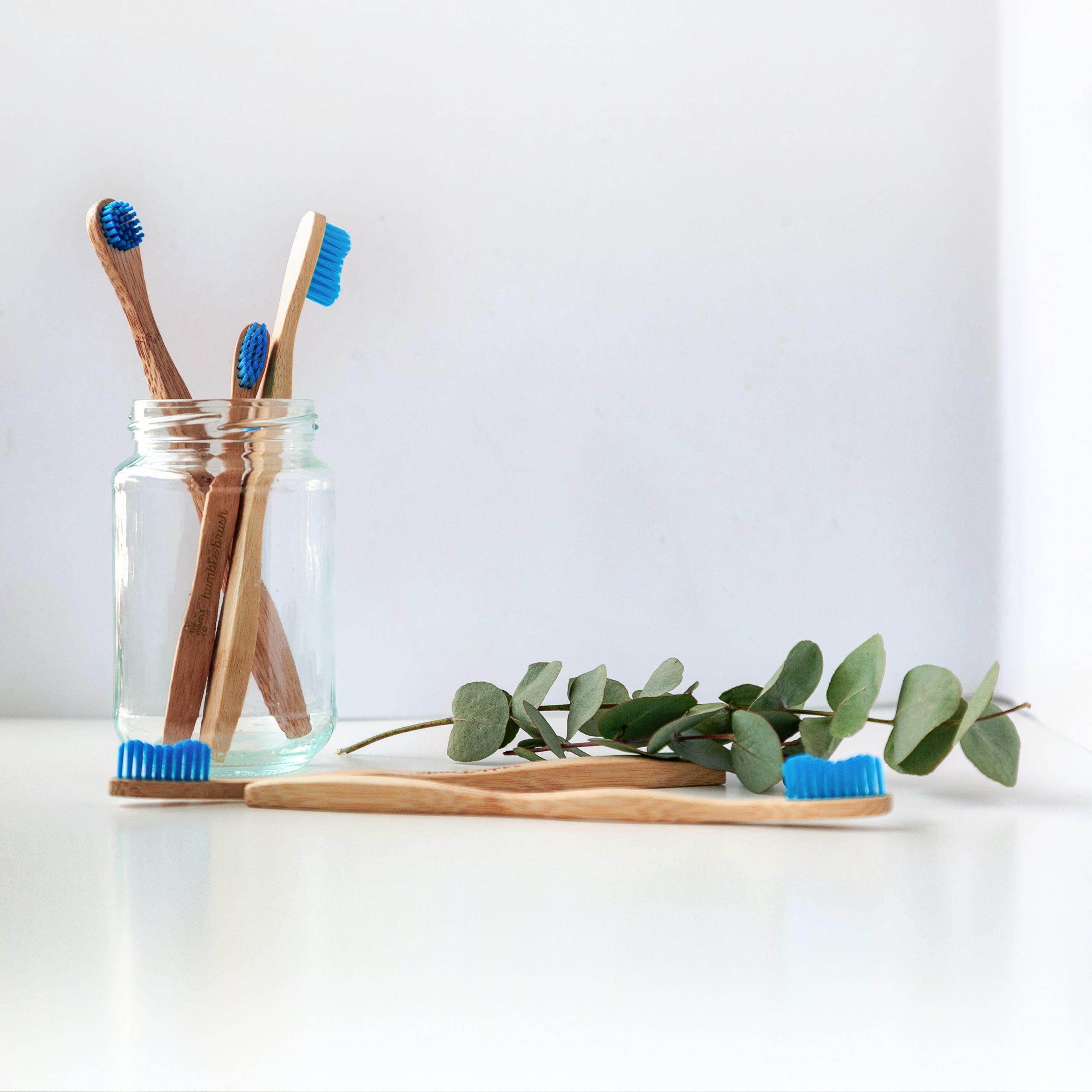 Wooden toothbrushes with a small branch.