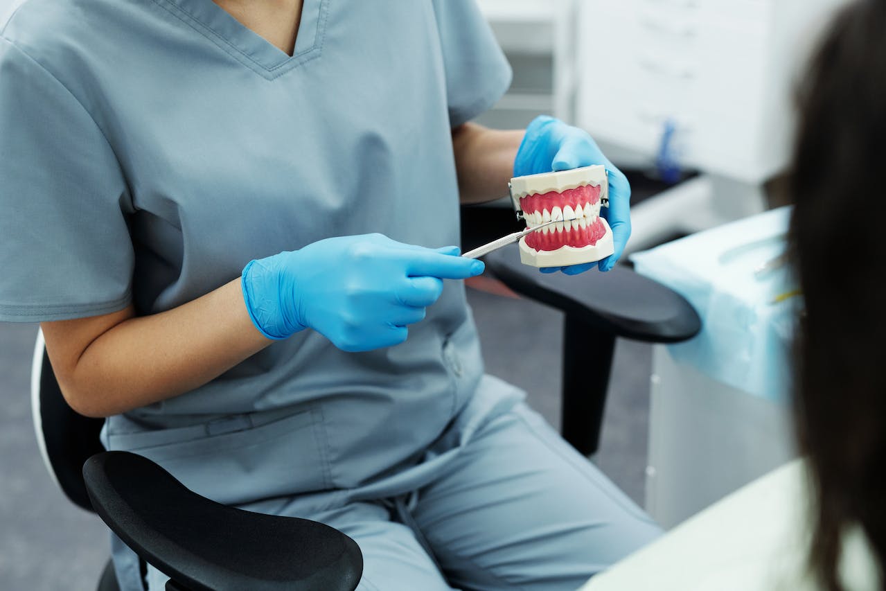 A dental provider holding model to demonstrate restorative dentistry procedures.